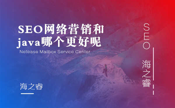 SEO網(wǎng)絡(luò)營(yíng)銷和java哪個(gè)更好呢